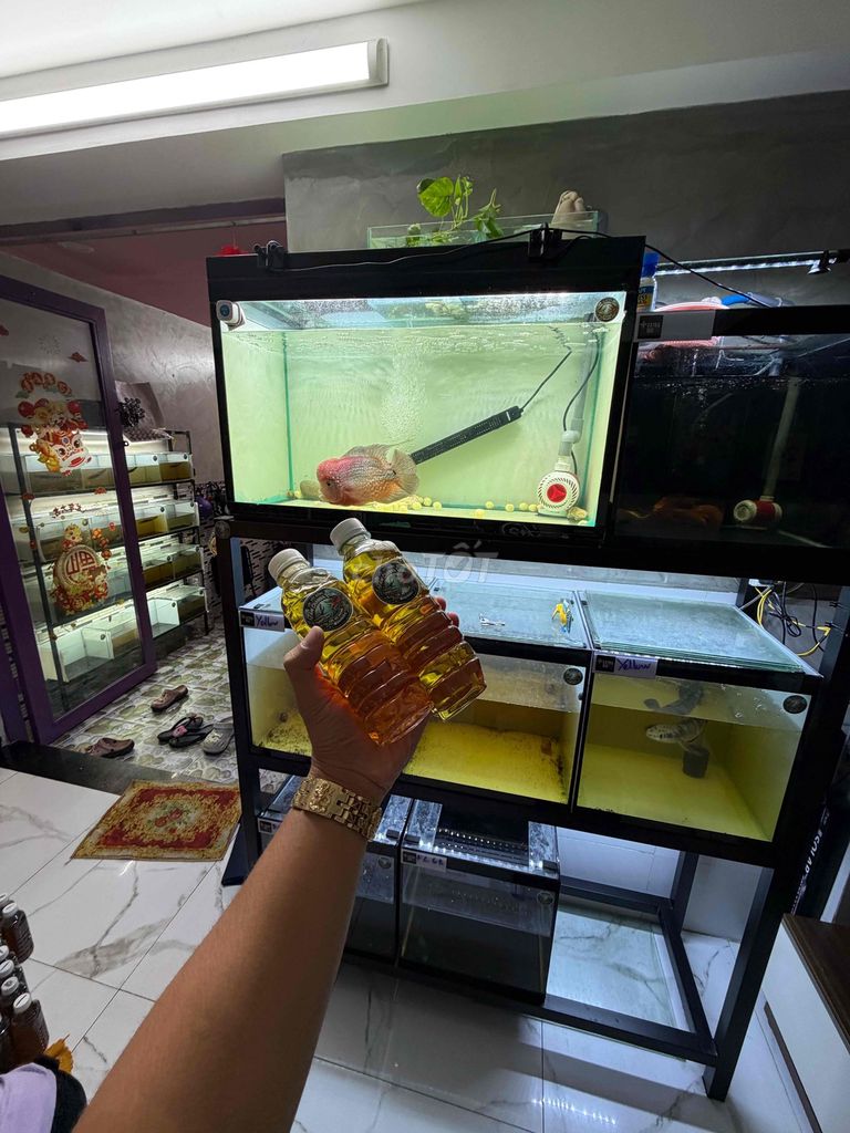 Nước dưỡng cá cảnh. Mua bán Thú cưng khác tại Quận 4 Tp Hồ Chí Minh được đăng bởi Chí Tâm hình 1