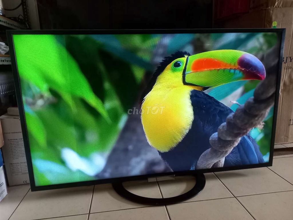 Tivi Sony 50W704A Đã sử dụng. Mua bán Tivi, Âm thanh tại Quận Bình Tân Tp Hồ Chí Minh được đăng bởi gianluigi hình 1