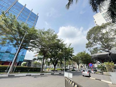 Cho Thuê Lô Đất Phú Hoà Thủ Dầu Bình Dương