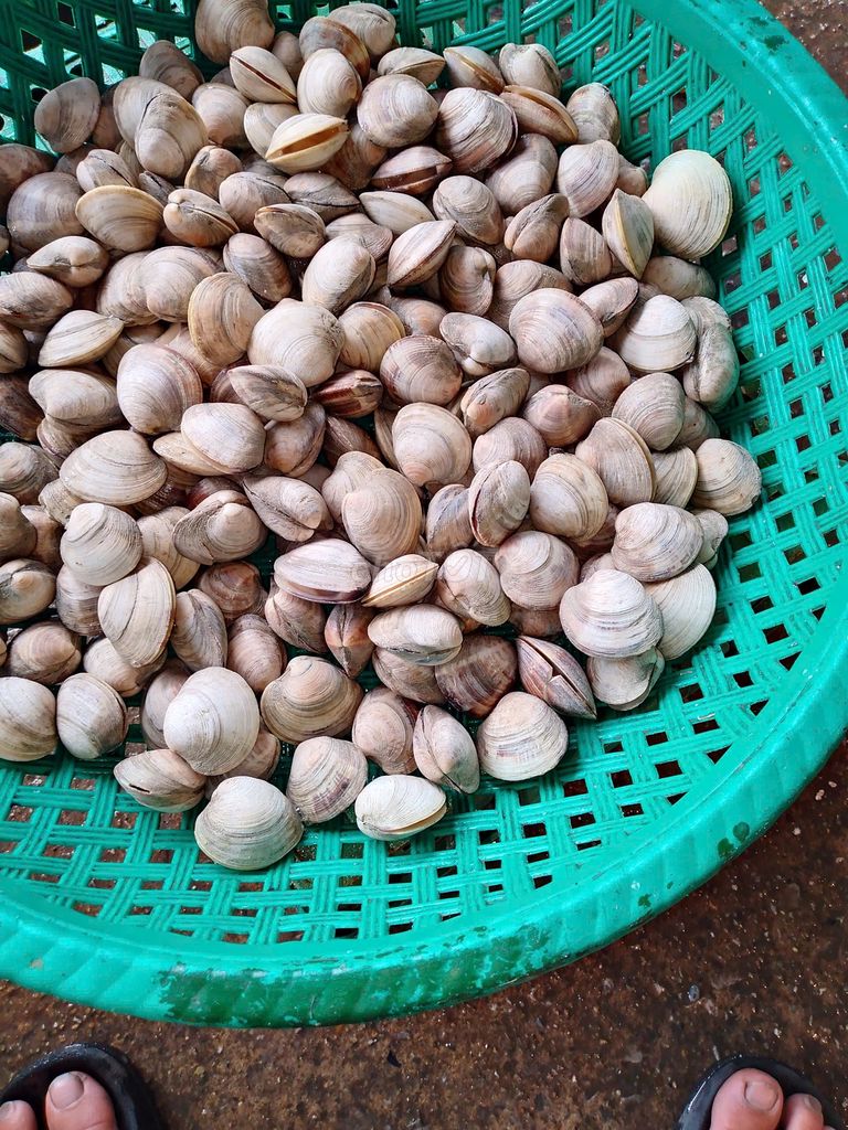 Hải sản chợ đầu mối QN bán tại HN (TƯƠI, GIÁ TỐT). Mua bán Đồ ăn, thực phẩm và các loại khác tại Quận Đống Đa Hà Nội được đăng bởi Nhân sự hình 3