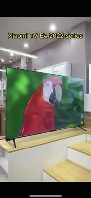 TV Xiaomi 65