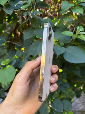 iPhone 12 Pro gold giá :6tr5❤️