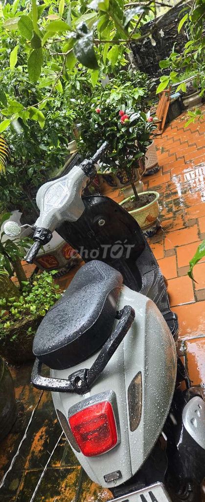 Xe máy 50cc DK để nhà ko đi. Mua bán Xe máy tại Quận Lê Chân Hải Phòng được đăng bởi Ngoc Bao hình 2