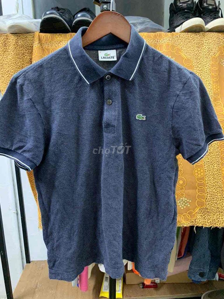 Polo Lacoste  chính hãng