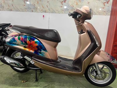 Ya. Grande Bs65 - Zin Đẹp Ngay Chủ