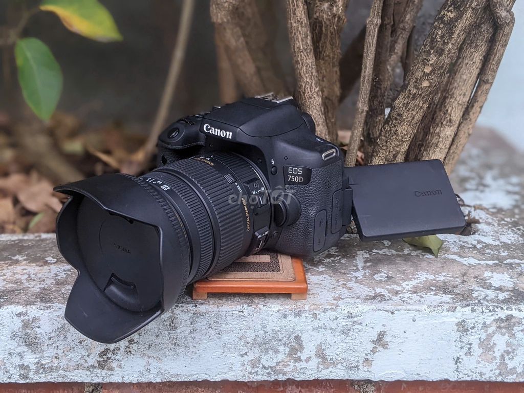 [Máy ảnh KTS] Canon 750D Sigma 17-50mm F2.8 Đen. Mua bán Máy ảnh, Máy quay tại Quận 6 Tp Hồ Chí Minh được đăng bởi may anh KTS hình 1