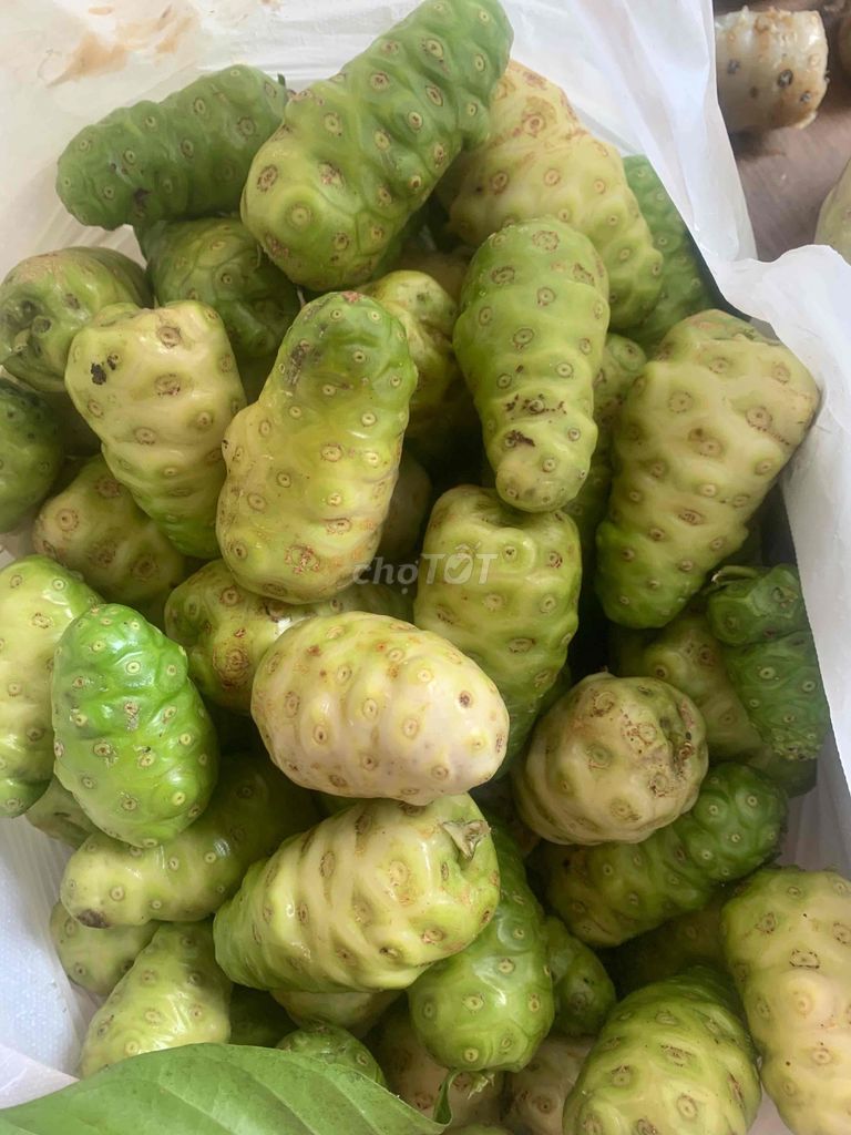 Trái nhàu Tự nhiên Quả to Xanh, vàng nhạt. Mua bán Đồ ăn, thực phẩm và các loại khác tại Huyện Trảng Bom Đồng Nai được đăng bởi Phi Nguyen hình 1