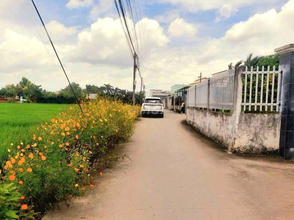Quá thơm, 1960m2 đất thổ đường nguyễn văn tiết chỉ 1.8 tỷ. Mua bán đất tại Huyện Tân Trụ Long An được đăng bởi Hùng Lê hình 1