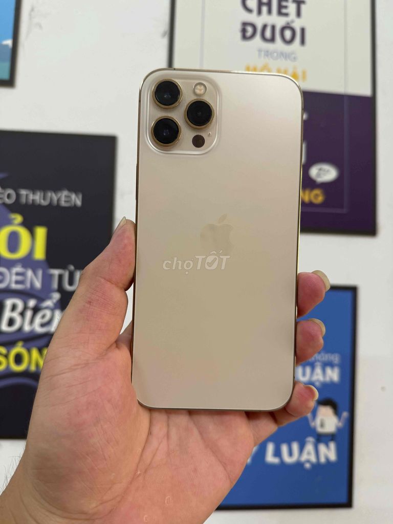 Apple iPhone 12 Pro Max 256GB Vàng CH/A 92%. Mua bán Điện thoại tại Quận Đống Đa Hà Nội được đăng bởi CHUNG Mobile hình 1