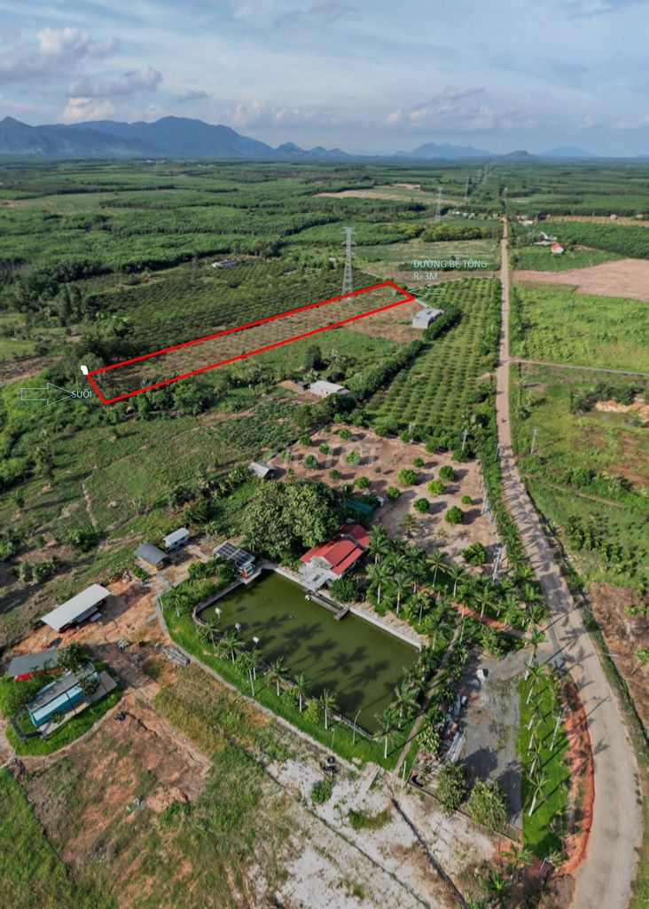 Bán vườn nhãn xuồng 15t, quy hoạch đất ở, đường ô tô, MT 47m,giáp suối. Mua bán Đất tại Huyện Hàm Tân Bình Thuận được đăng bởi huy nguyen hình 2