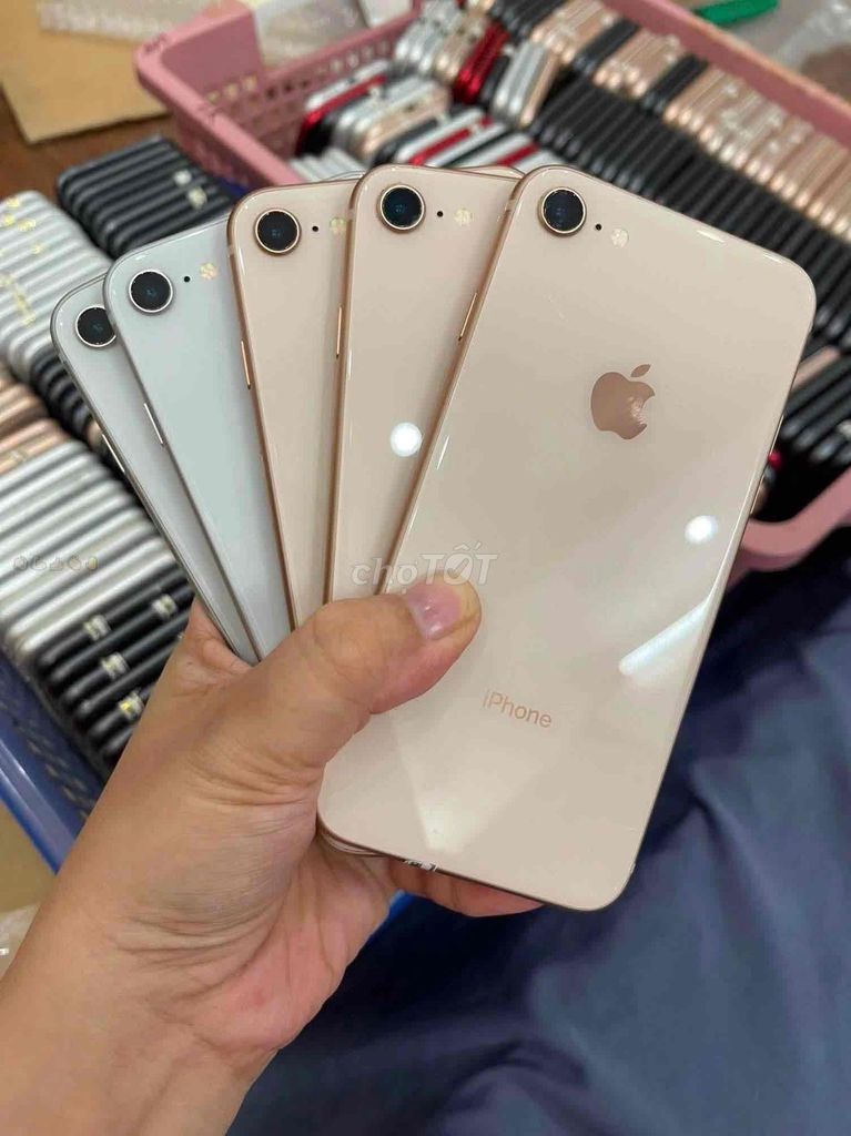 Apple iPhone 8 64GB Vàng hồng 99%. Mua bán Điện thoại tại Quận Cầu Giấy Hà Nội được đăng bởi Trần Thắng hình 1