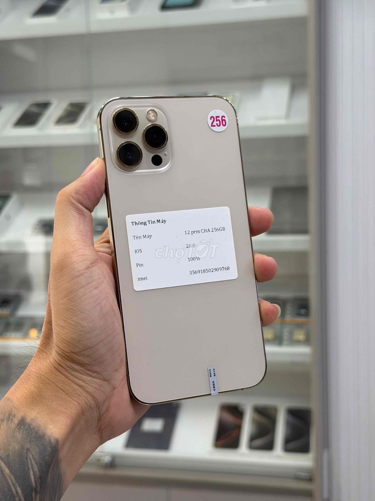 12 Pro Max 256GB Vàng 99%. Mua bán Điện thoại tại Thành phố Nam Định Nam Định được đăng bởi nguyễn việt hoàng hình 1
