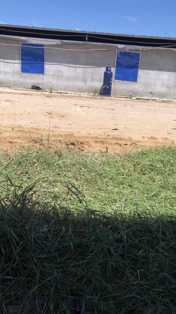 xe nha dang chay ko su dung ban. Mua bán Ô tô tại Huyện Thống Nhất Đồng Nai được đăng bởi Tuấn Tú hình 1