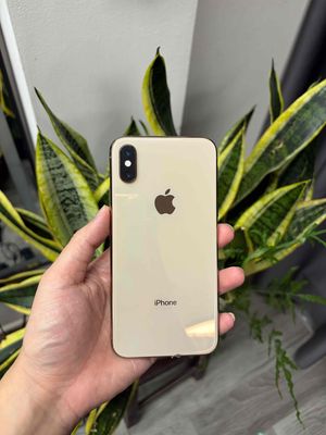 Apple iPhone XS 64GB Vàng Đã sử dụng