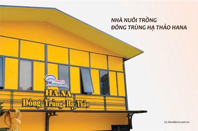 Nhà hàng Hana Mushroom 
