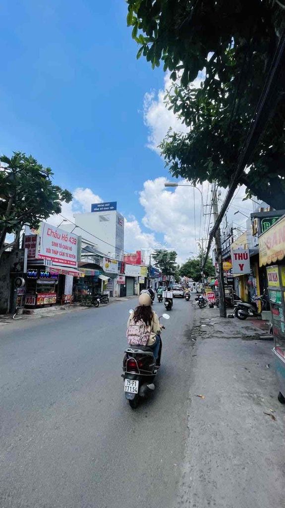 Biệt Thự MT Nguyễn Duy Trinh, Kinh Doanh Đa Ngàng Nghề, TL Mạnh