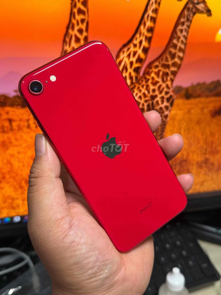 Apple iPhone SE 2020 64GB Đỏ Đã sử dụng. Mua bán Điện thoại tại Quận Gò Vấp Tp Hồ Chí Minh được đăng bởi Bunny  hình 1