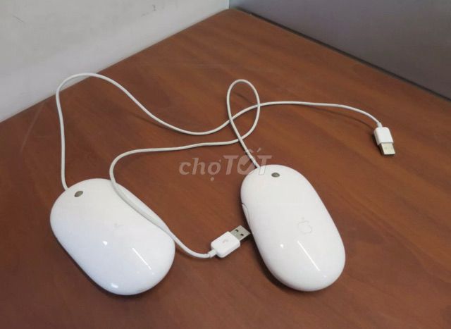 Bán con chuột Apple Mighty Mouse