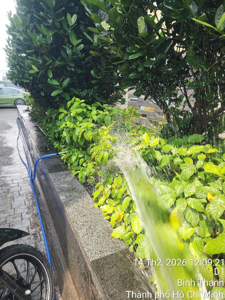 Em nhận chăm sóc và bảo dưỡng cảnh quan TPHCM. Dịch vụ nhà cửa khác tại Thành phố Thủ Đức Tp Hồ Chí Minh được đăng bởi Nguyễn Thanh Toàn hình 1