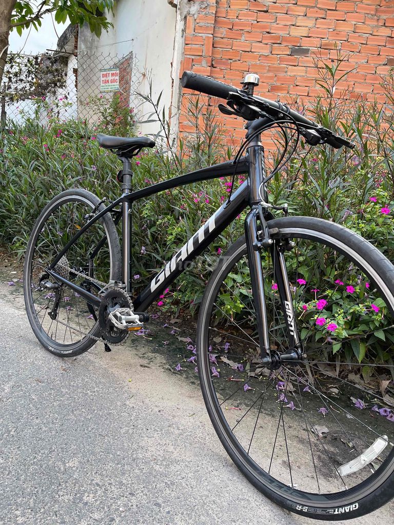 GIANT RX nội địa nhật. Mua bán Xe đạp tại Quận 12 Tp Hồ Chí Minh được đăng bởi  hồng nguyễn bike hình 9