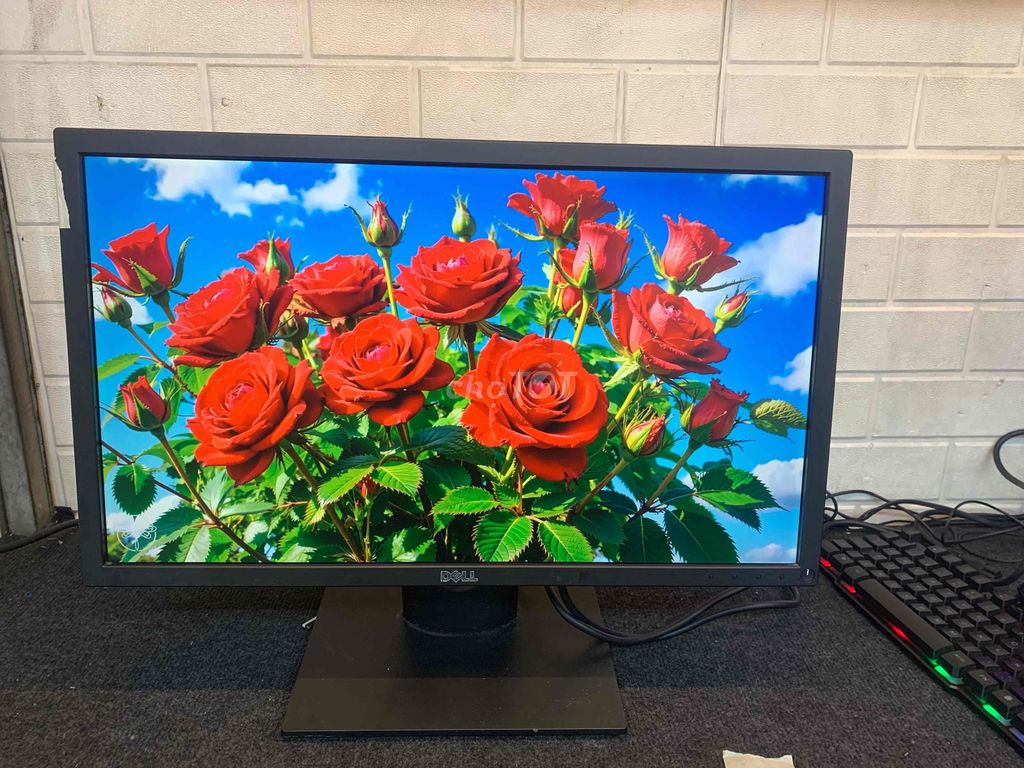 MÀN HÌNH SÀI TẠM 23INCH LỖI SÁNG VIỀN. Mua bán Phụ kiện (Màn hình, Chuột...) tại Quận Phú Nhuận Tp Hồ Chí Minh được đăng bởi tiến tài 770 nguyễn kiệm p4 quận phú nhuận hình 1