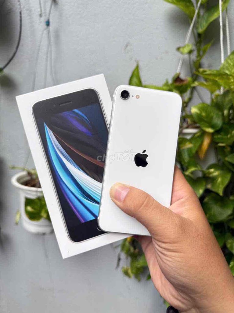Apple iPhone SE 2020 64GB Trắng Silver Nhật (JA/A). Mua bán Điện thoại tại Quận 8 Tp Hồ Chí Minh được đăng bởi Hàng Zin Chất Giá Rẽ Có Giao Lưu   hình 1