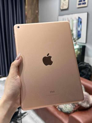 pass gen6 128G đẹp zin. Mua bán Máy tính bảng tại Quận Hoàng Mai Hà Nội được đăng bởi Lã Bình iPad