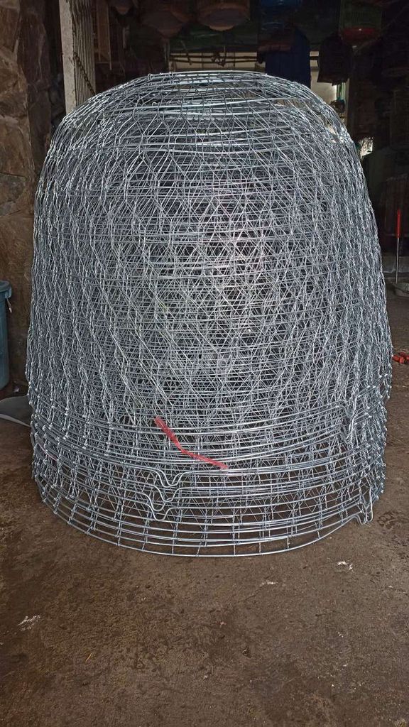 Bội gà nòi. Mua bán Phụ kiện, Thức ăn, Dịch vụ tại Huyện Long Hồ Vĩnh Long được đăng bởi Thanh Trung hình 1