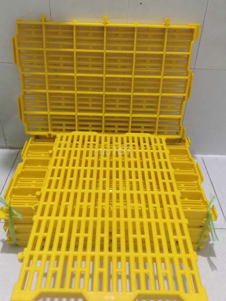 Sàn nhựa lót chuồng chó mèo heo vv. Mua bán Phụ kiện, Thức ăn, Dịch vụ tại Quận Bình Tân Tp Hồ Chí Minh được đăng bởi Bảo thủy hình 1