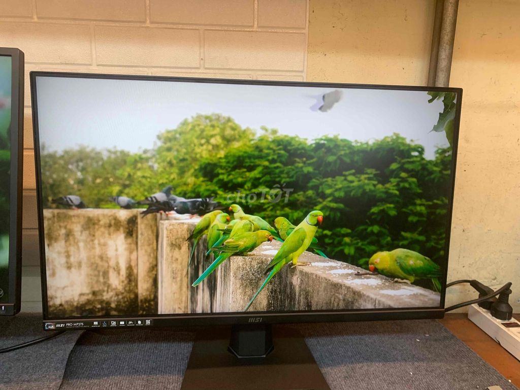 MÀN HÌNH MSI 27IN 100HZ TÍCH HỢP CẢ LOA