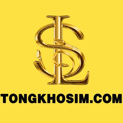 Công Ty TNHH TMDV VT Song Long logo