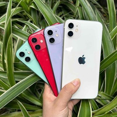 🍏 11 THƯỜNG - MÀ KHÔNG TẦM THƯỜNG🌱. Mua bán Điện thoại tại Quận 10 Tp Hồ Chí Minh được đăng bởi Hoàng Quân