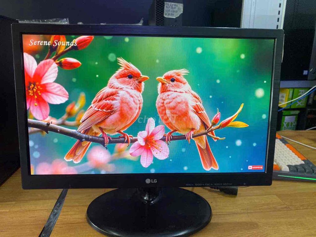 CHIẾC MÀN HÌNH 19IN LG LED BAO NÉT CHẤT LƯỢNG. Mua bán Phụ kiện (Màn hình, Chuột...) tại Quận Phú Nhuận Tp Hồ Chí Minh được đăng bởi ngọc trang hình 1