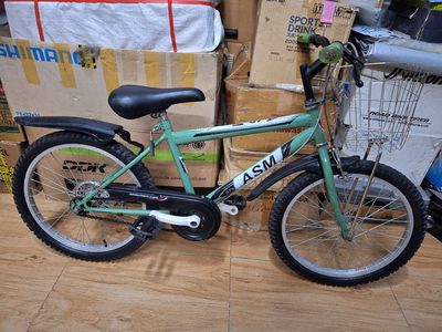 Xe đạp 20 inch màu xanh lá