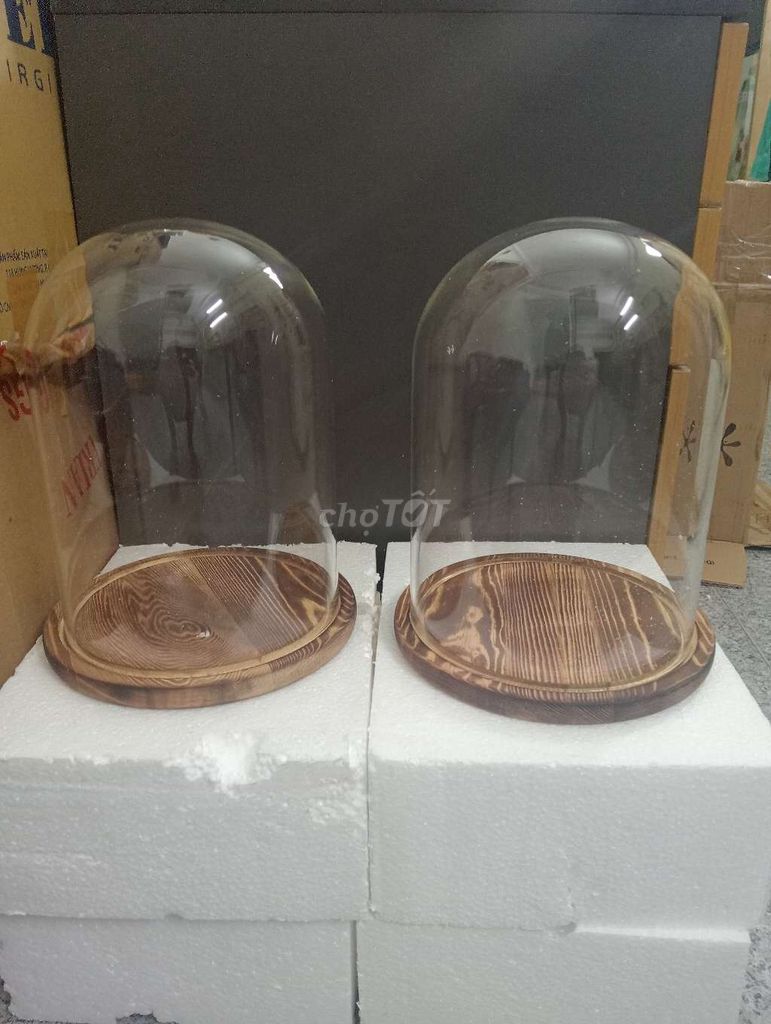Lồng kính trưng bày đế gỗ 18x24cm. Mua bán Cây cảnh, đồ trang trí tại Quận 11 Tp Hồ Chí Minh được đăng bởi Long Bùi Thành hình 1