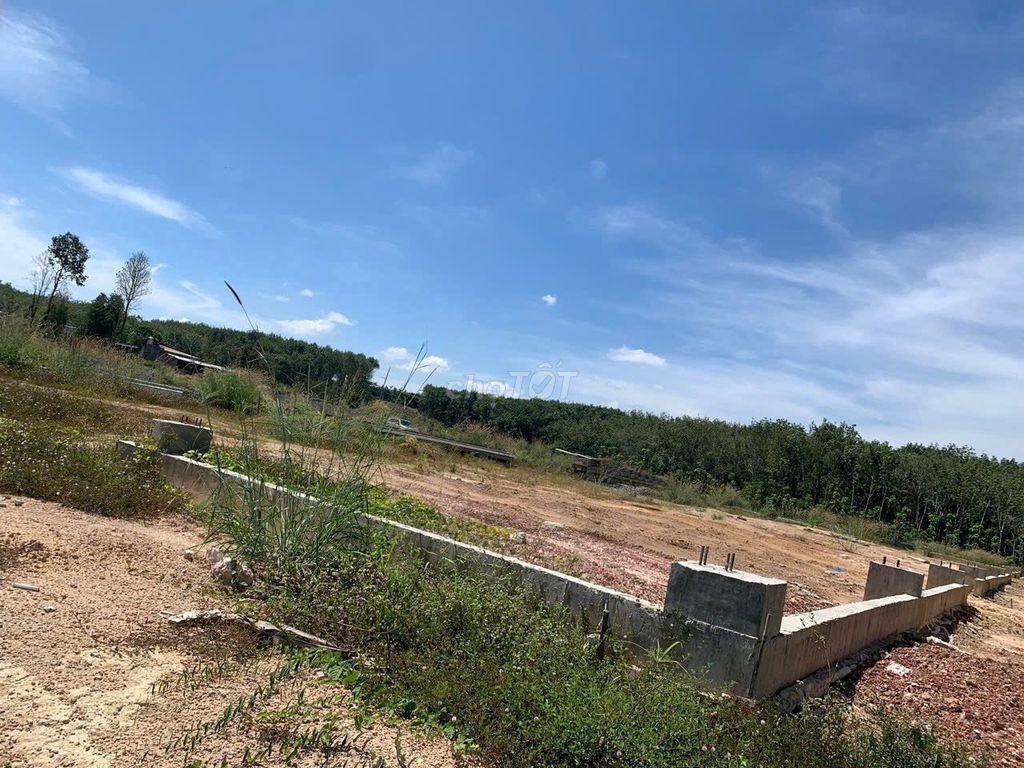 Bán lô đất nhà, chính chủ 21000 m2 xã Tân Định, Bắc Tân Uyên, BD. Mua bán Đất tại Huyện Bắc Tân Uyên Bình Dương được đăng bởi Lê Gia An hình 5