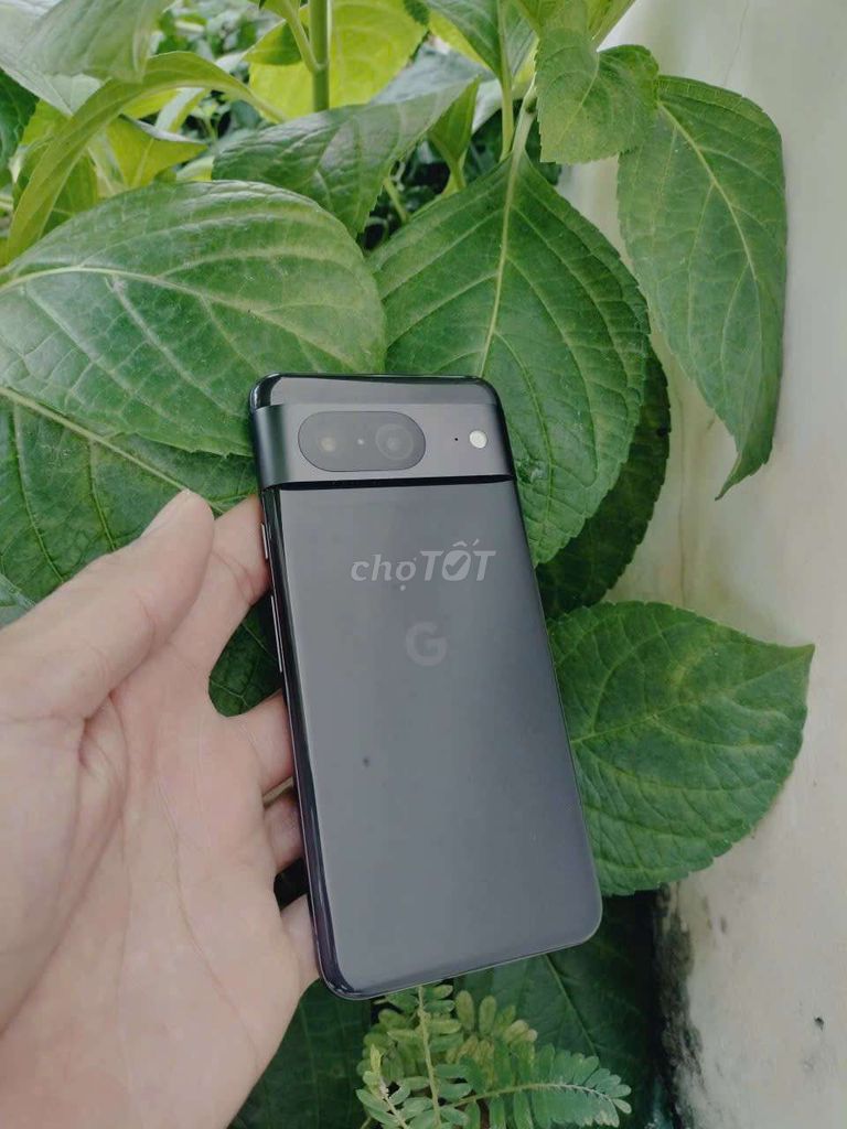 Google Pixel 8 Đen Đã sử dụng. Mua bán Điện thoại tại Huyện Bàu Bàng Bình Dương được đăng bởi Huỳnh  hình 1