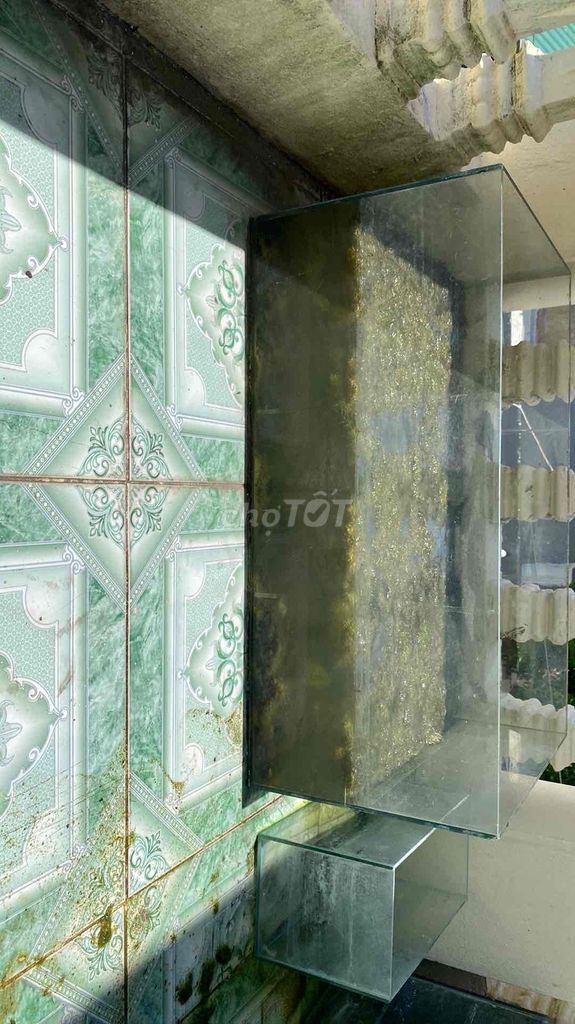 Bể cá cảnh Kính 80x40 Đẹp. Mua bán Phụ kiện, Thức ăn, Dịch vụ tại Huyện Thường Tín Hà Nội được đăng bởi Minh Lê hình 1