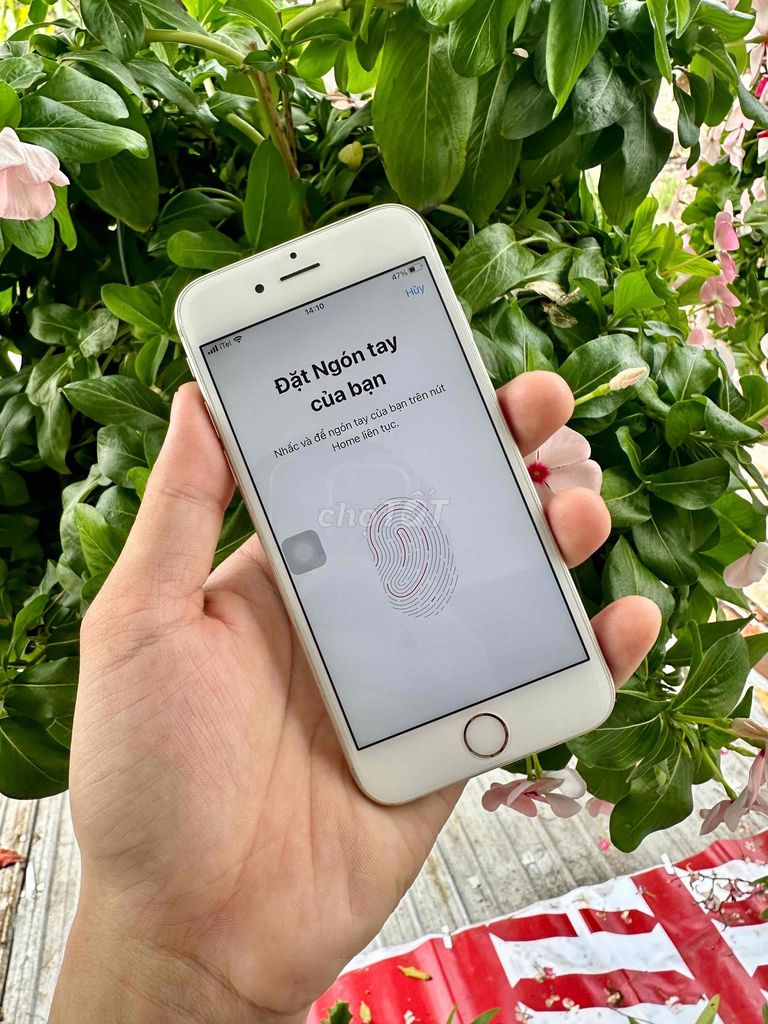 iphone 6S 64G quốc tế đẹp 99%