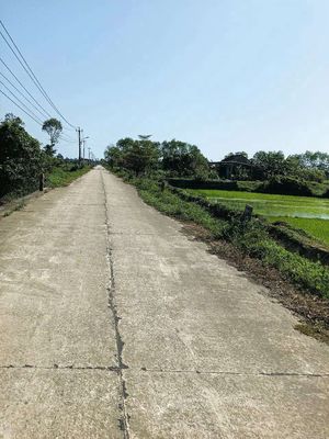 bán lô đất vườn Tam Anh Bắc, Núi Thành wew sông Trường Giang Mát mẻ. Mua bán đất tại Huyện Núi Thành Quảng Nam được đăng bởi phong phú
