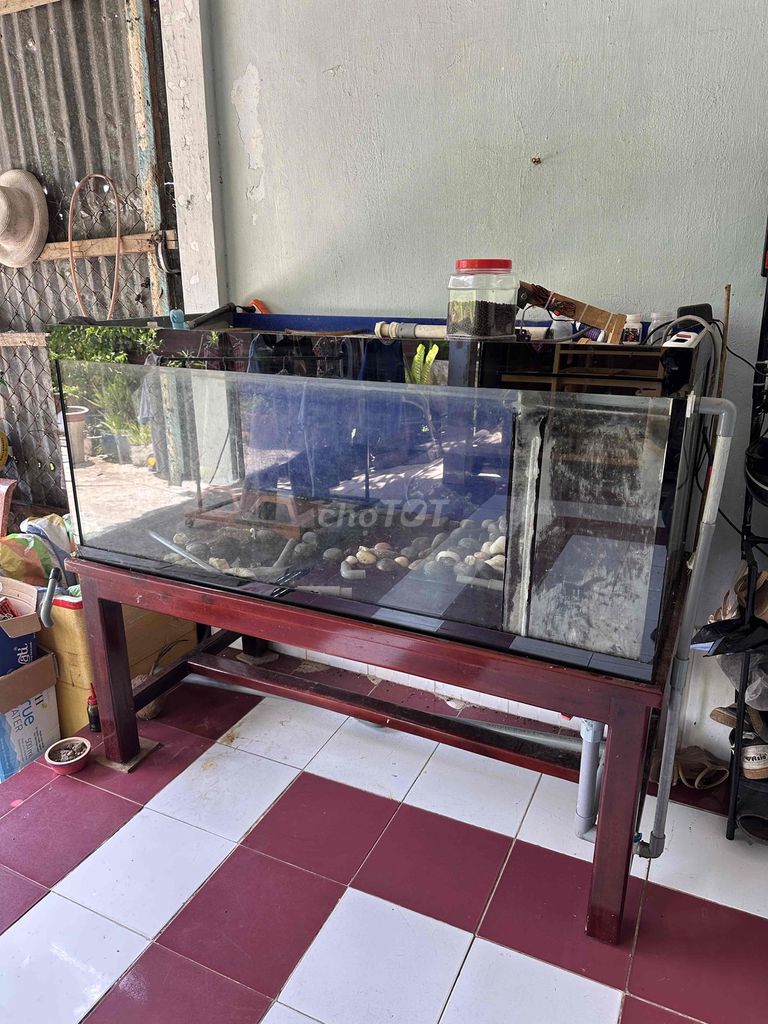 Hồ cá Kính Gỗ 1m4x70cmx60cm Hư keo. Mua bán Phụ kiện, Thức ăn, Dịch vụ tại Thành phố Sóc Trăng Sóc Trăng được đăng bởi hùng hình 1