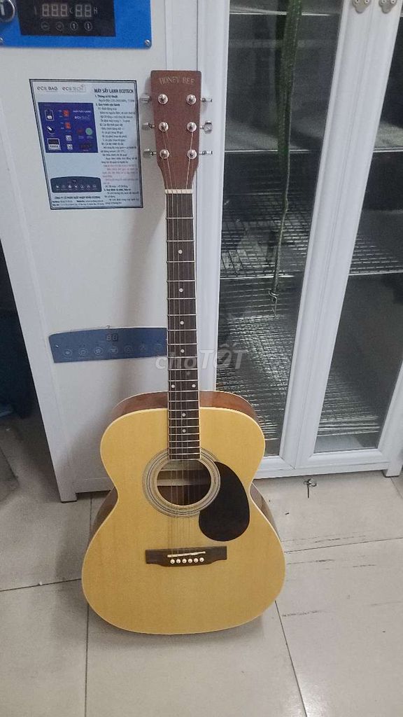 Đàn guitar acoustic Honey Bee F-15/N. Mua bán Nhạc cụ tại Quận 3 Tp Hồ Chí Minh được đăng bởi Tú hình 1