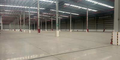 CHO THUÊ NHÀ XƯỞNG 7000M2, 15.000M2...TRONG KCN BÀU BÀNG, BÌNH DƯƠNG. Cho thuê văn phòng, mặt bằng kinh doanh tại Huyện Bàu Bàng Bình Dương được đăng bởi Thanh Bình