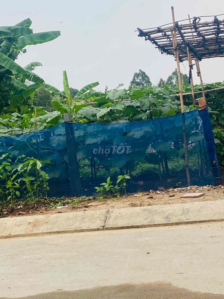 Đất đẹp 1/ Nguyễn Duy Trinh, long Trường 55m (4x14), 3.35 tỷ đầu tư. Mua bán Đất tại Thành phố Thủ Đức Tp Hồ Chí Minh được đăng bởi Võ Thị Lê Minh hình 5