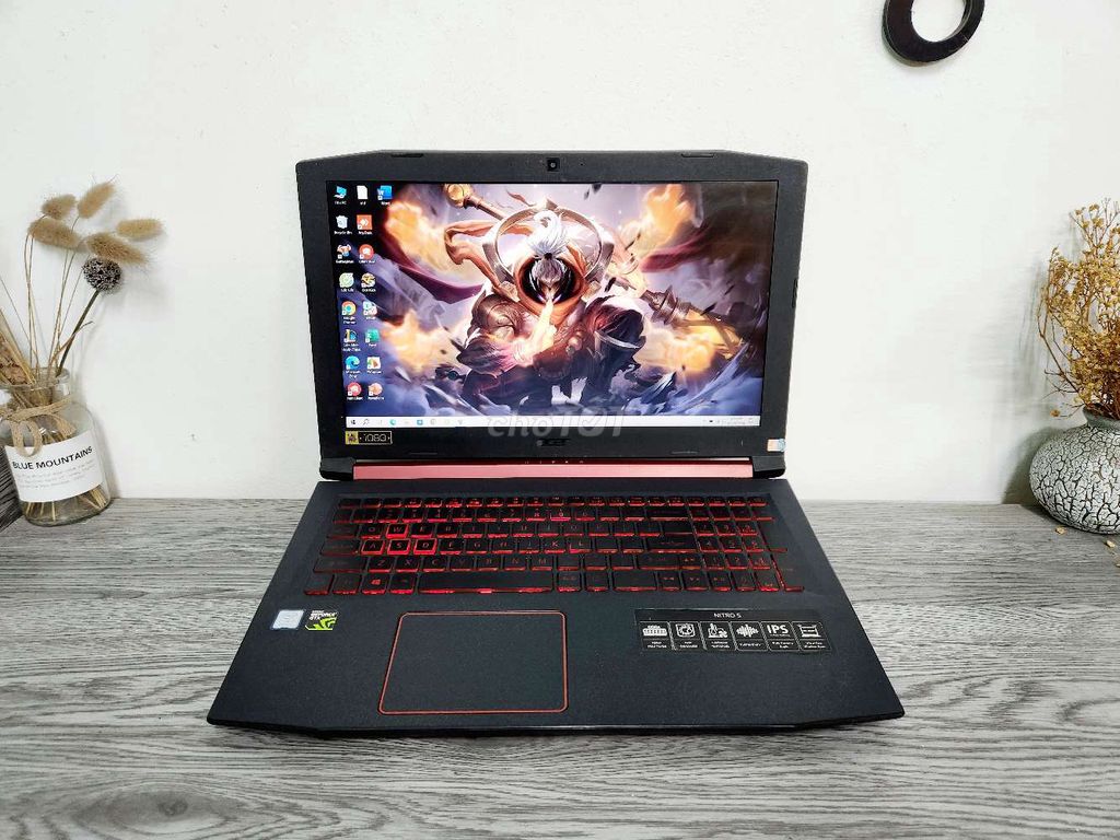 Acer Gaming Nitro 5