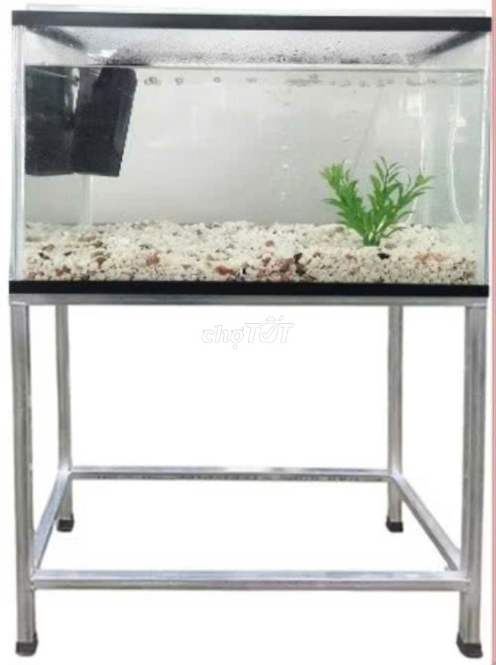 Hồ cá trồng cây. Mua bán Phụ kiện, Thức ăn, Dịch vụ tại Quận 10 Tp Hồ Chí Minh được đăng bởi Duong tran hình 1