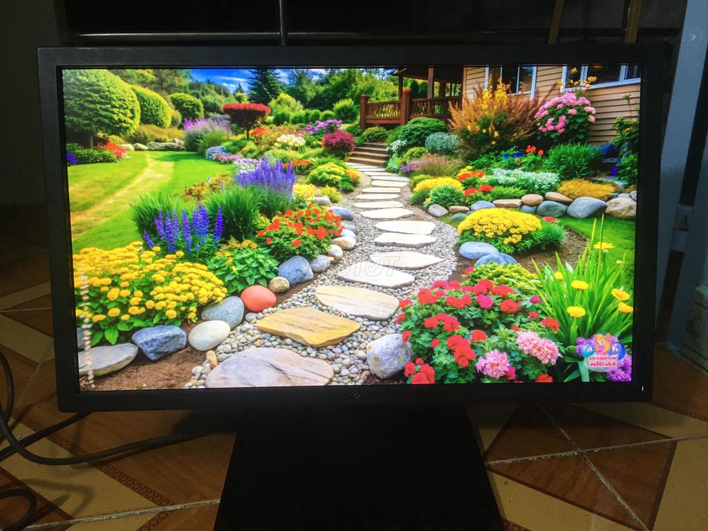 DELL 22" full HD sáng đẹp, trầy nhẹ như không