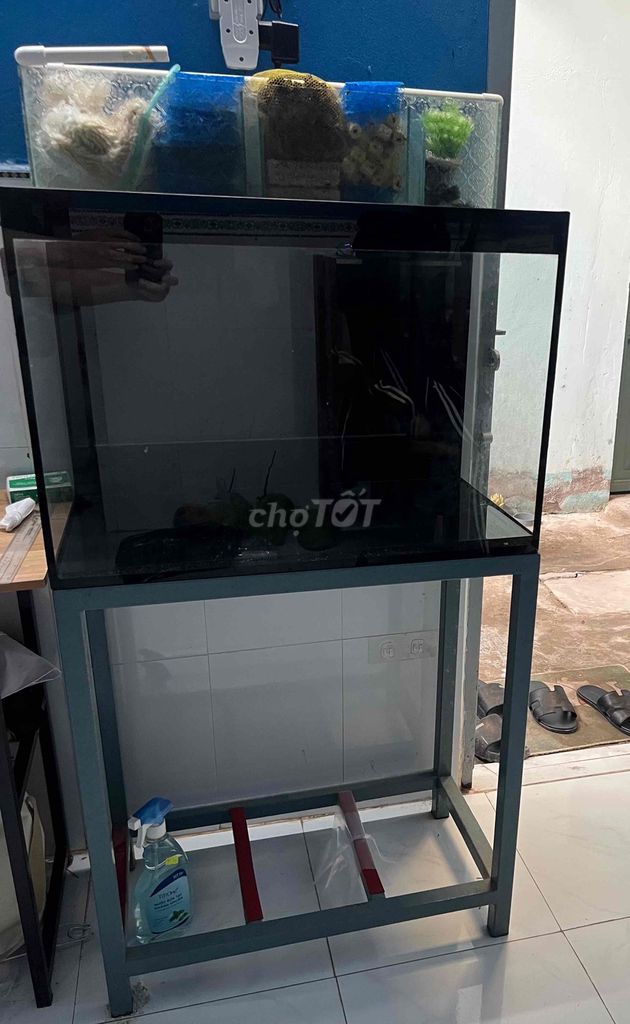 Thanh lý tất cả gồm hồ, chân hồ, lọc, bơm ,…. Mua bán Phụ kiện, Thức ăn, Dịch vụ tại Quận Ninh Kiều Cần Thơ được đăng bởi Nguyễn Thanh Liêm hình 2