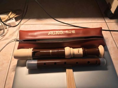 Sáo Recorder. Mua bán Nhạc cụ tại Quận Bình Thạnh Tp Hồ Chí Minh được đăng bởi Hợi