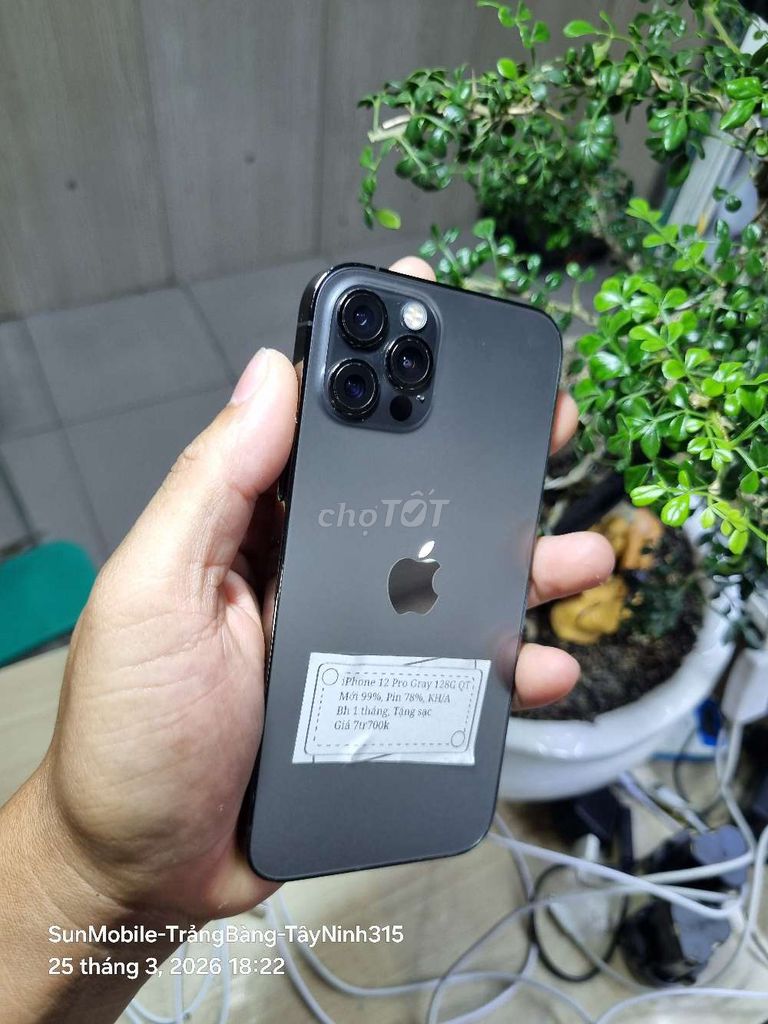 iPhone 12 pro xám 128g P78% zin áp xuất. Mua bán Điện thoại tại Huyện Trảng Bàng Tây Ninh được đăng bởi Sun Mobile Shop Điện Thoại Trảng Bàng Tây Ninh 01 hình 1